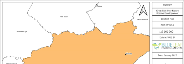 Image result for Droguetia ambigua