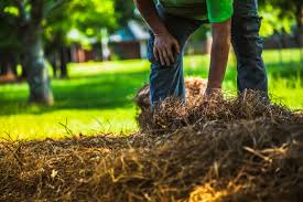 Check spelling or type a new query. 19 Smart Ways To Use Straw In The Garden Gardening