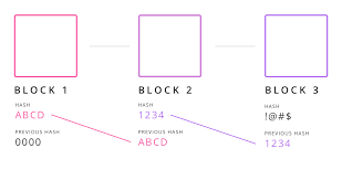 How is the transaction stored on every node? Bitcoin Blockchain Explained For Normal People By Glen Elkins Medium