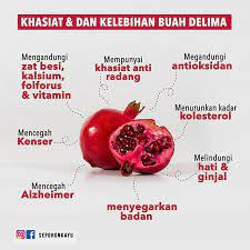 Buah delima atau nama botaninya punica granatum l. Buah Delima Membantu Masalah Ketidaksuburan Wanita