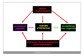 Published 1991 by edisem in st. Medicaments De La Maladie D Alzheimer Les Points Essentiels