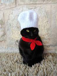 Scarf For Cat Hat For Cat Cat Costume Pet Halloween Costume Hat For Cat Cat Accessories Pet Halloween Costumes Hat For Cat Pet Costumes Cat