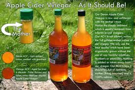Image result for apple cider vinegar pictures