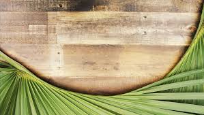 Palm sunday story written for children, easter issue, easter stories of jesus chirst's death and risen from the grave. How To Talk To Your Kids About Palm Sunday Minno Parents
