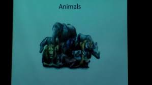 Leadership Among the Animals