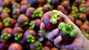 Pemanfaatan kulit manggis (garcinia mangostana l). Cuka Apel Dan Rebusan Kulit Manggis Ampuh Stabilkan Gula Darah Ini Faktanya