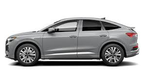 Image result for Pebble Gray 2025 Q4