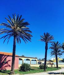 Instagram Photo By Saint Cyprien Jun 24 2016 At 5 49am Utc Instagram Instagram Photo Photo