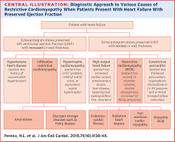 Image result for Restrictive Cardiomyopathy