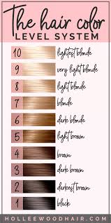 How To Read Hair Color Numbers And Letters 2020 Ultimate Guide Blonde Hair Color Chart Hair Color Number Chart How To Dye Hair At Home