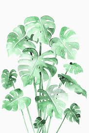 Delicate Monstera Green By Maria Heyens 2020 Ic Mekan Yatak Odasi Ic Mekan