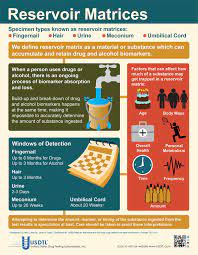 Pin On Infographics