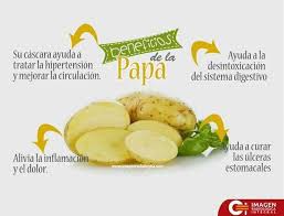 Imagen De Almu Almu En Beneficios Y Tips Comida Beneficios De Alimentos Alimentos Alimentacion