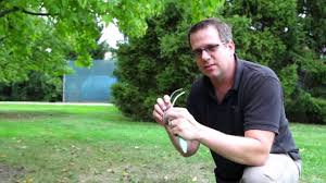 On the contrary, fertilizer spikes or granules are cheap in bulk. How To Insert Tree Fertilizer Spikes Youtube