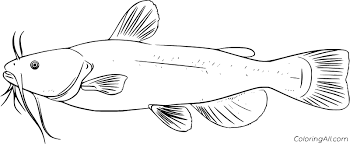 Color in this picture of a catfish and others with our library of online coloring pages. North American Catfish Coloring Page Coloringall