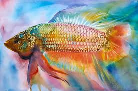 Betta fish are among the most popular freshwater fish around. Rainbow Painting By Betta Painter