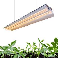 Monios L T5 Led Grow Light 2ft Full Spectrum Sunlight Re Https Www Amazon Com Dp B07qjxk6xd Ref Cm Sw Grow Lights For Plants Led Grow Lights Grow Lights