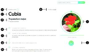 So what is this powerful vitamin? A Audio File With Common Name Pronunciation B Transcription Of Download Scientific Diagram