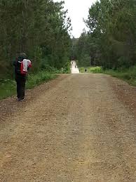 Il cammino della Monachella di San Bruno (Mariantonia Samà)