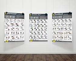 3 Workout Poster Pack Dumbbell Exercises Bodyweight
