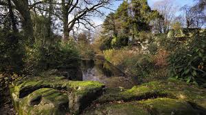 Cambrai Au Jardin Public Le Lac Aux Cygnes N Est Plus Que Lac