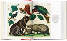 We did not find results for: Seba Cabinet Of Natural Curiosities Albertus Seba Cabinet Of Natural Curiosities Le Cabinet Des Curiosites Naturelles Bibliotheca Universalis Musch Irmgard Rust Jes Willmann Rainer Amazon De Bucher