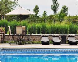 Maybe you would like to learn more about one of these? Awesome Pool Fence Design Ideas Backyard Pool Landscaping Backyard Pool Pool Landscaping
