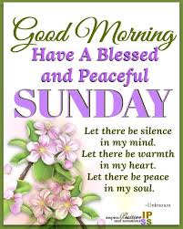 Morning sunday quotes are to relieve stress, relax and create good sunday memories.good morning sunday quotes in english to get rejuanated for next week.good morning sunday quotes for facebook to share on. Inspiring Good Morning Peaceful Sunday Image Pictures Photos And Images For Facebook Tumblr Good Morning Happy Sunday Happy Sunday Quotes Morning Blessings