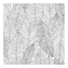 Banana leaf is a wonderfully drawn mono leaf print finished upon a smooth, white coloured background. Thuy Grey Banana Leaves Wallpaper 20 5 X 396 X 0 025 Overstock 33052853