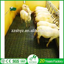 Contextual translation of kandang kambing into english. Goat Farm In Tamil Nadu Buy Goat Farm In Tamil Nadu Goat Farming House Goat Farming House Product On Alibaba Com