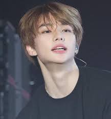 Stray Kids fan decor ideas for office space