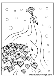 Download and print these baby lion coloring pages for free. Printable Peacocks Coloring Pages Updated 2021