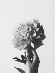 Dessinez le visage en noir et blanc (style panda). 1001 Photos Pour Un Fond D Ecran Noir Et Blanc Parfait Pour Vous