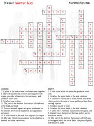 Neurotransmitter used to cause muscle contraction. Pelvic Bones Crossword