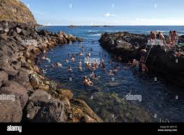 Image result for Ferraria