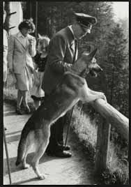 Fotografin Ataturk U Bir Kurt Kopegiyle Yan Yana Gosterdigi Iddiasi