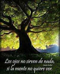 Imagenes Ilustradas Con Pensamientos Y Con Frases Cortas Referentes A La Vida Y Al Amor Para Reflexionar Natural Fotografia De Arboles Naturaleza Impresionante