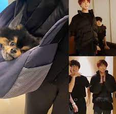 V also has a pet pomeranian named yeontan … Taekook Updates So It Was Jungkook Who Was Holding Facebook