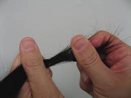 Image result for Hair Pull Test
