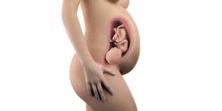 37 Ssw 37 Schwangerschaftswoche Baby Und Mama Kurz Vor Der Geburt Papa De