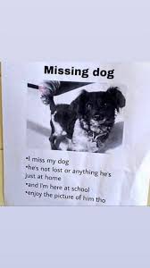 Dibawah ini adalah kumpulan 20 gambar spongebob lucu dan keren untuk sobat yang menggemari tokoh kartun ini. For Years I Ve Thought About Putting Silly Posters Up At Work Funny Animal Memes Miss My Dog Funny Animals