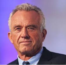 Alternative electric providers in Mount Pleasant?