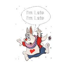 Image result for late rabbit