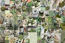 87 Picture Matcha Sage Green Aesthetic Wall Collage Kit Etsy In 2021 Sage Green Wallpaper Wall Collage Aesthetic Iphone Wallpaper