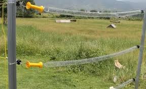 Qdcg or as yours color: Electric Fence Spring Gate Your Electric Fence Gate Hardwares Supplier