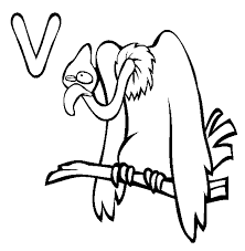 The original format for whitepages was a p. Vulture Coloring Page Animals Town Animal Color Sheets Vulture Picture