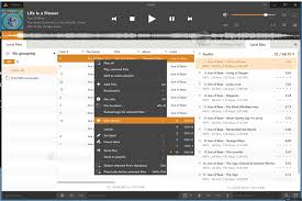 Having all of your data safely tucked away on your computer gives you instant access to it on your pc as well as protects your info if something ever happens to your phone. 5 Best Free Music Players For Windows 2019