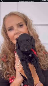 And the winners are…. Janine Chakides Andrea Barnes Lisa Haggerty Jamie  Griffiths Donna Grady Kristin Ciulla Lisa Stamega Greg Boyanton Daisy  Margolin Holly Mazuryk