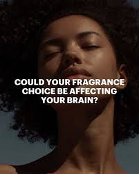 Medeau (@medeau.fragrances) • Instagram photos and videos