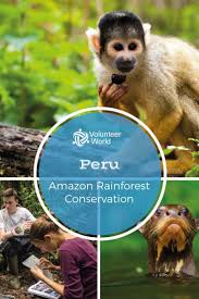 Amazon Rainforest Conservation Volunteer In Peru 2020 In 2020 Amazon Rainforest Conservation Biology Animal Conservation